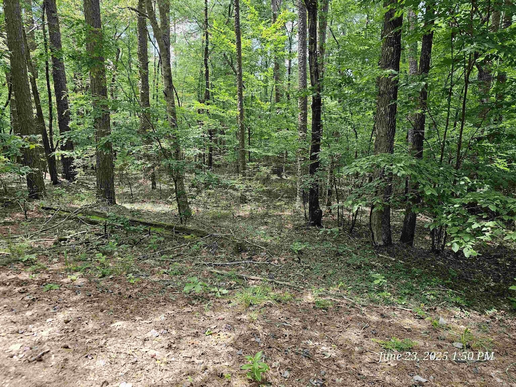 5 Tistaban Ln, Hot Springs Village, AR 71909