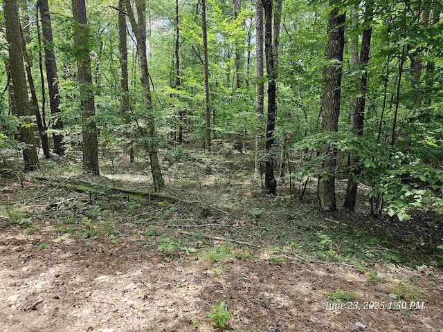 5 Tistaban Ln, Hot Springs Village, AR 71909