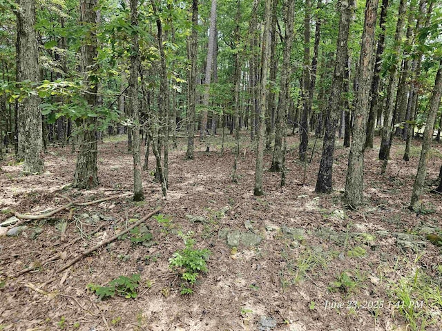 46 Doscientos Way, Hot Springs Village, AR 71909