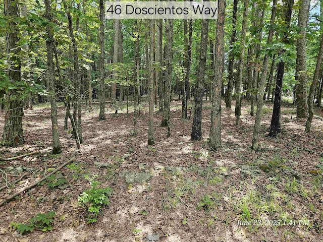 46 Doscientos Way, Hot Springs Village, AR 71909