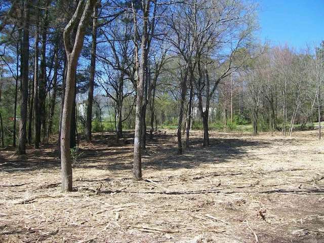 000 Big Duke Cir, Hot Springs, AR 71913