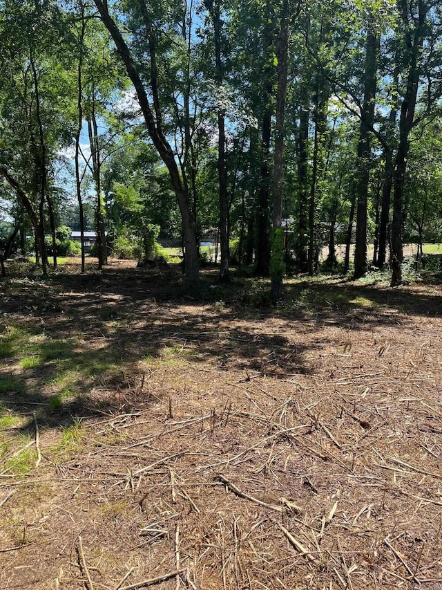 000 Big Duke Cir, Hot Springs, AR 71913