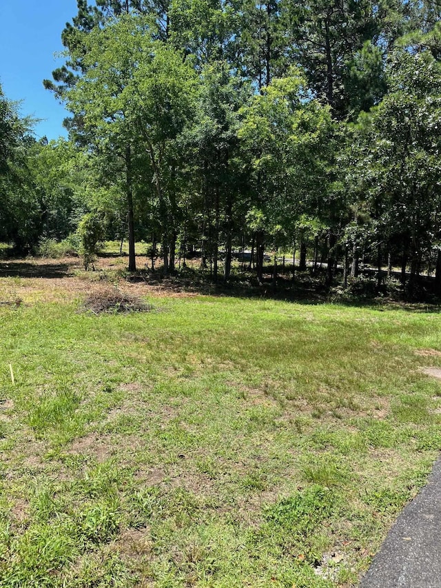 000 Big Duke Cir, Hot Springs, AR 71913