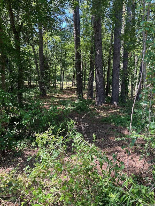 000 Big Duke Cir, Hot Springs, AR 71913