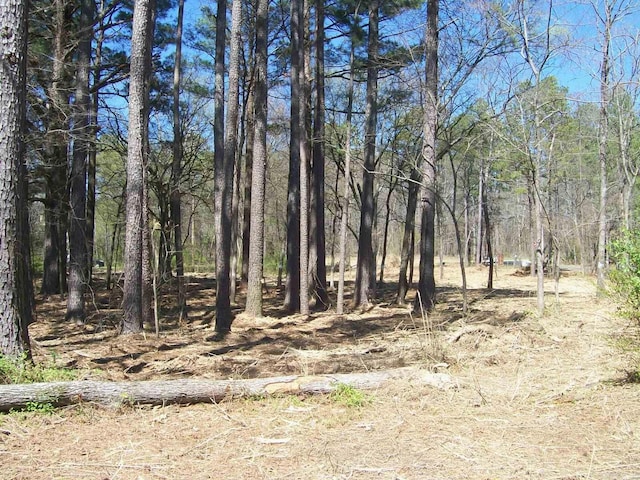 000 Big Duke Cir, Hot Springs, AR 71913