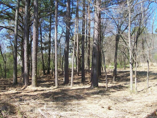 000 Big Duke Cir, Hot Springs, AR 71913