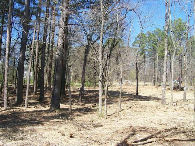 000 Big Duke Cir, Hot Springs, AR 71913