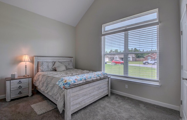 226 Shamsie Ln, White Hall, AR 71602 - carpeted bedroom featuring multiple windows and vaulted ceiling