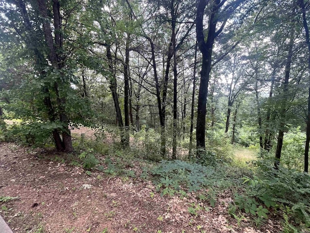 3265 Nob Hill Dr, Conway, AR 72034