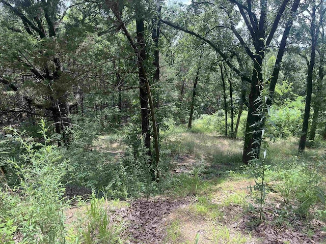 3265 Nob Hill Dr, Conway, AR 72034