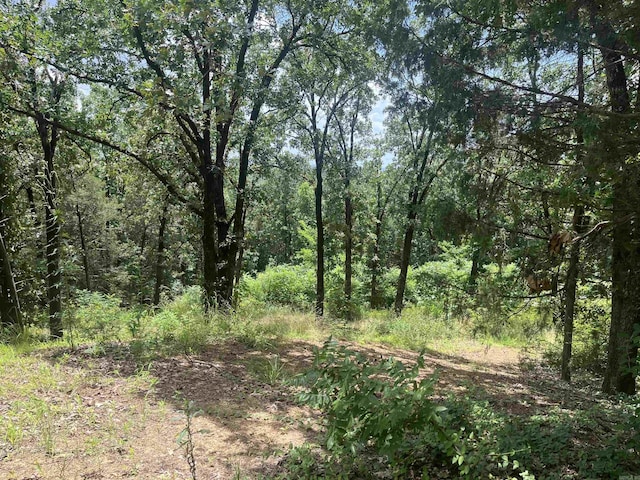 3265 Nob Hill Dr, Conway, AR 72034