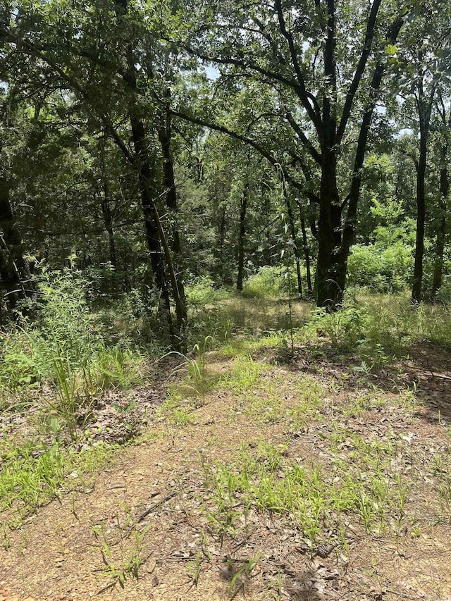 3265 Nob Hill Dr, Conway, AR 72034