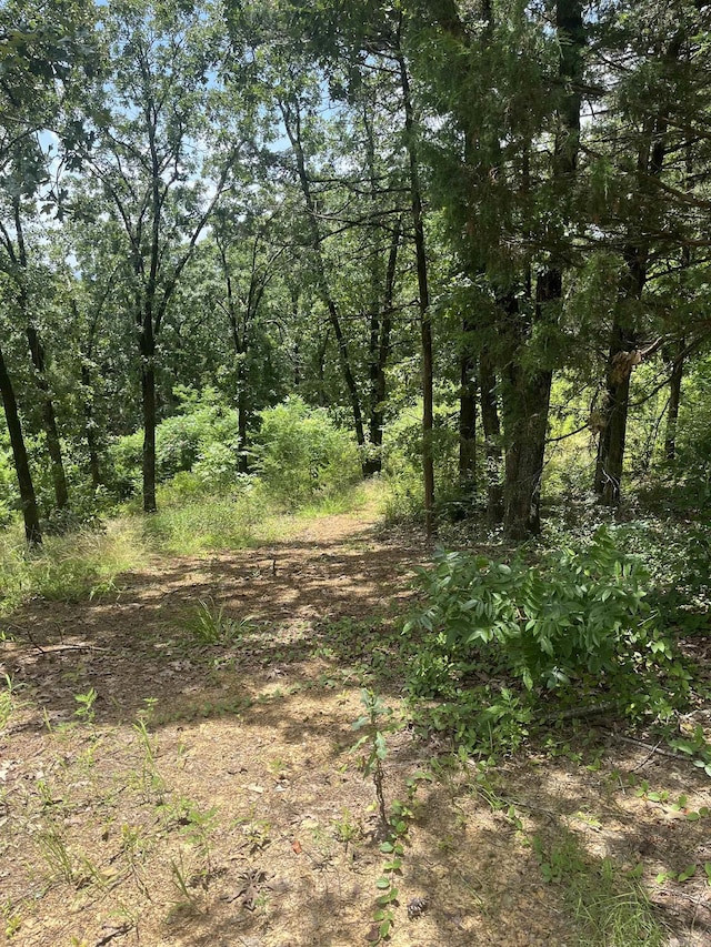 3265 Nob Hill Dr, Conway, AR 72034