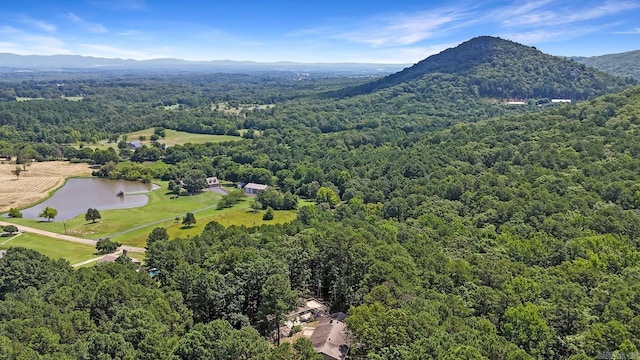 278 Trap Mountain Rd, Hot Springs, AR 71913 - bird's eye view of a forest and a water and mountain view
