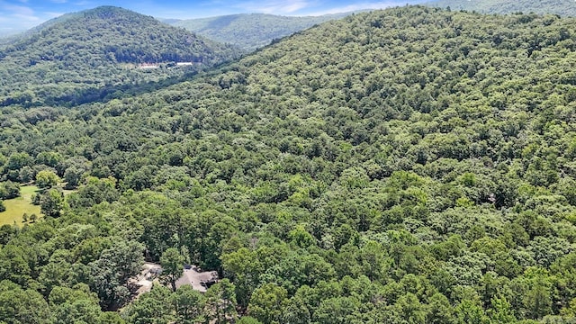 278 Trap Mountain Rd, Hot Springs, AR 71913 - view of mountain backdrop featuring a forest