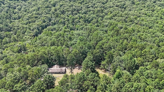278 Trap Mountain Rd, Hot Springs, AR 71913 - view of subject property with a forest