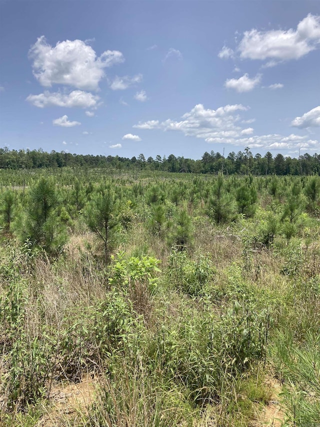 1400BLOCKOF Beaudry Cir, Jessieville, AR 71949