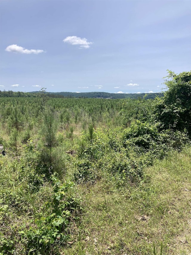 1400BLOCKOF Beaudry Cir, Jessieville, AR 71949