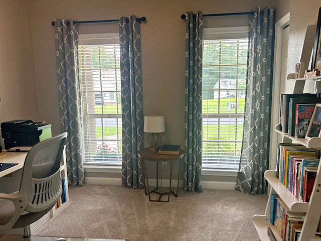 3 Timber Ridge Cir, Arkadelphia, AR 71923 - office with carpet flooring and plenty of natural light