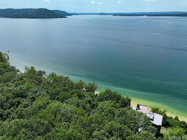 1032 Nunis Dr, Heber Springs, AR 72543 - bird's eye view of a nearby body of water