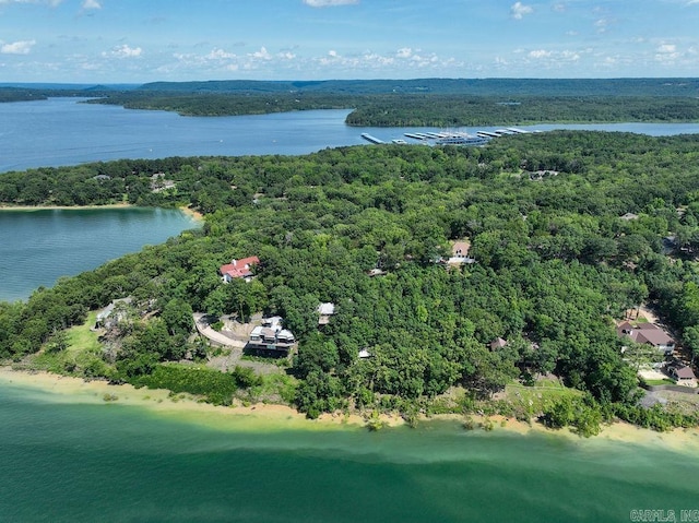 1032 Nunis Dr, Heber Springs, AR 72543 - aerial view of a nearby body of water and a forest