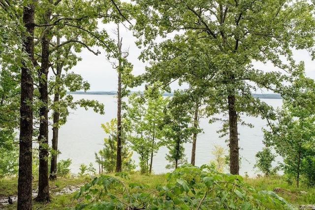 1032 Nunis Dr, Heber Springs, AR 72543 - water view