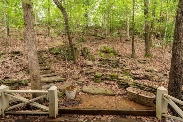 1032 Nunis Dr, Heber Springs, AR 72543 - view of yard featuring stairway