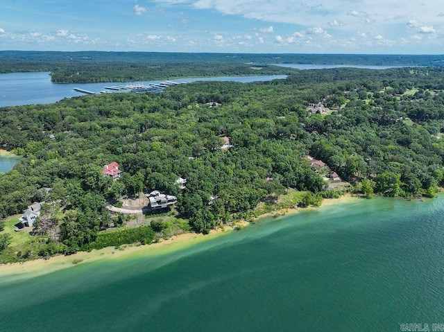 1032 Nunis Dr, Heber Springs, AR 72543 - drone / aerial view of a forest and a large body of water