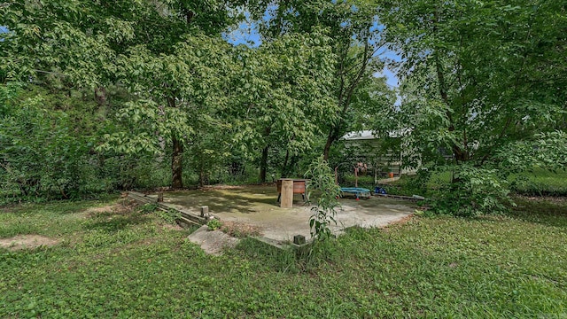 508 Cindy St, Paragould, AR 72450 - view of green lawn