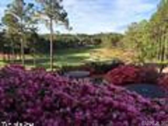 60 Estrella Way, Hot Springs Village, AR 71909 - view of home's community