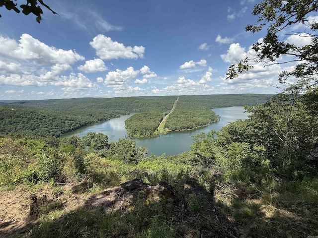 301 Watersedge Dr, Edgemont, AR 72044