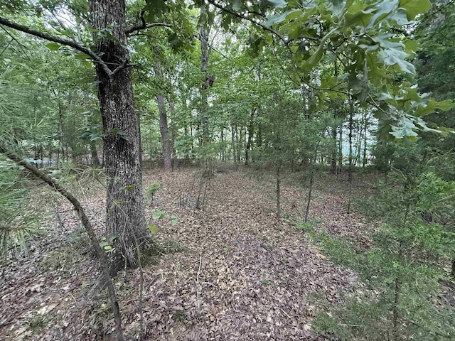 301 Watersedge Dr, Edgemont, AR 72044