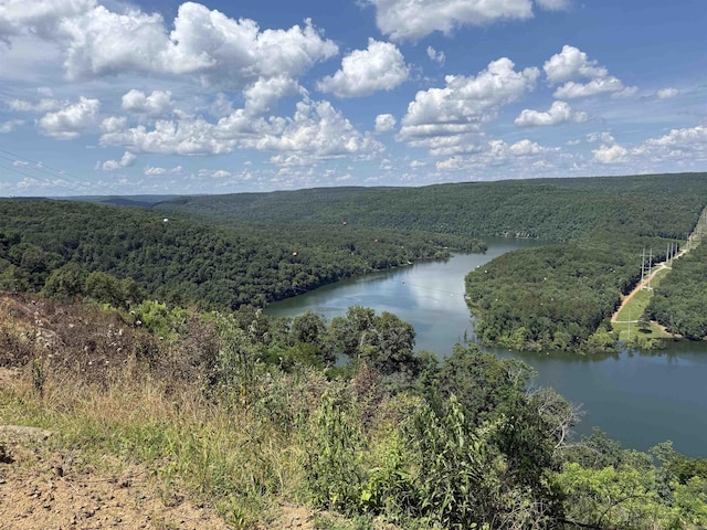 301 Watersedge Dr, Edgemont, AR 72044