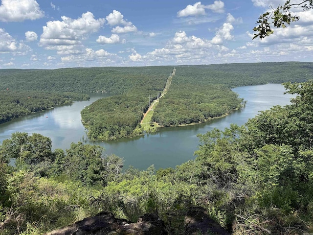 301 Watersedge Dr, Edgemont, AR 72044