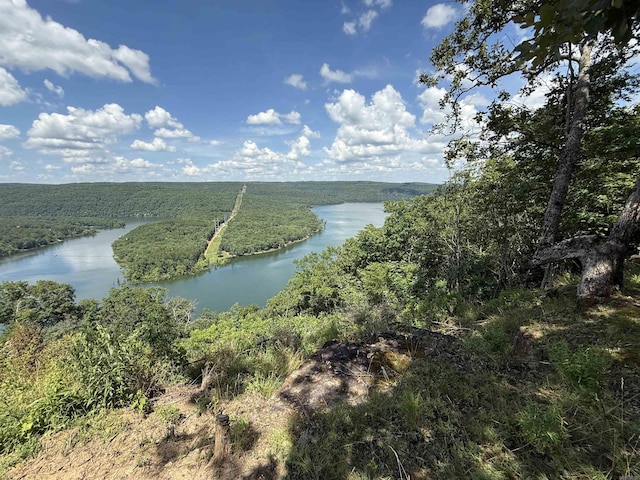 301 Watersedge Dr, Edgemont, AR 72044