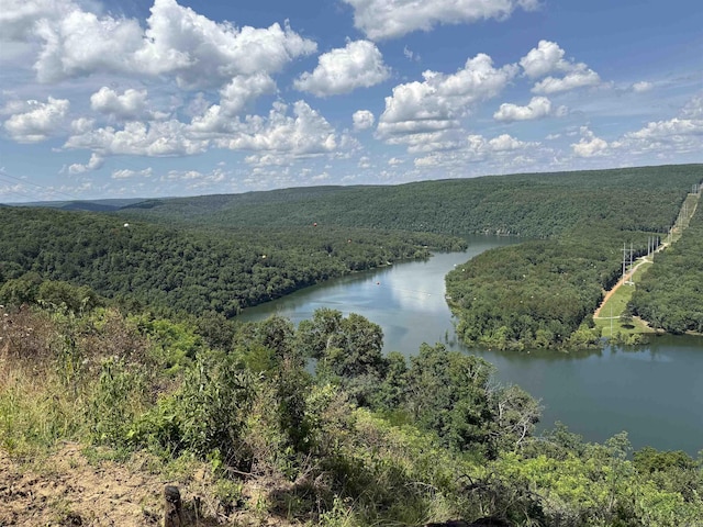 301 Watersedge Dr, Edgemont, AR 72044