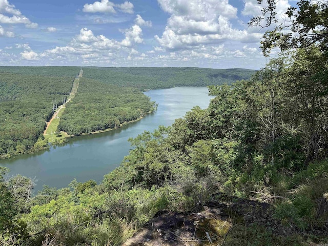 301 Watersedge Dr, Edgemont, AR 72044