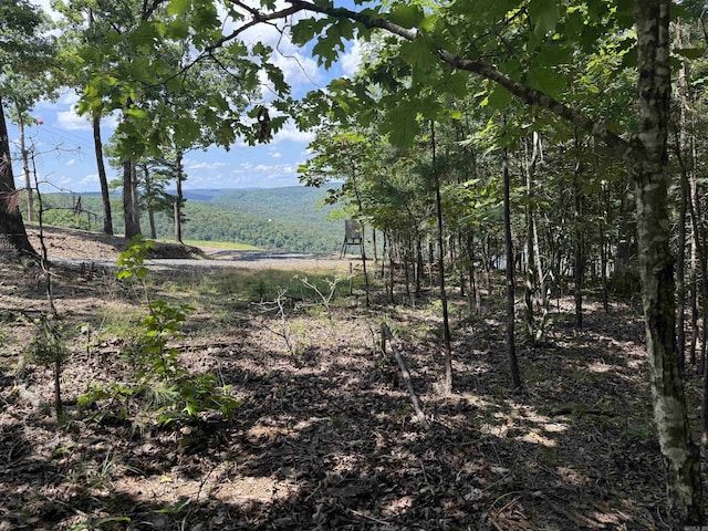 301 Watersedge Dr, Edgemont, AR 72044