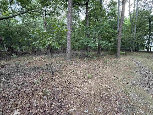 301 Watersedge Dr, Edgemont, AR 72044