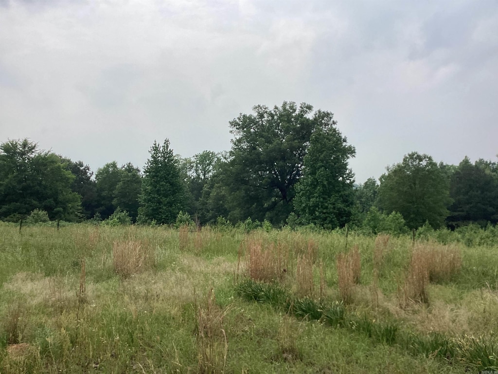 000 Hempstead 24, Blevins, AR 71825