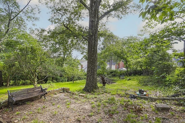 1810 N Mississippi, Little Rock, AR 72227 - view of yard
