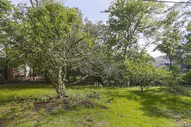 1810 N Mississippi, Little Rock, AR 72227 - view of yard