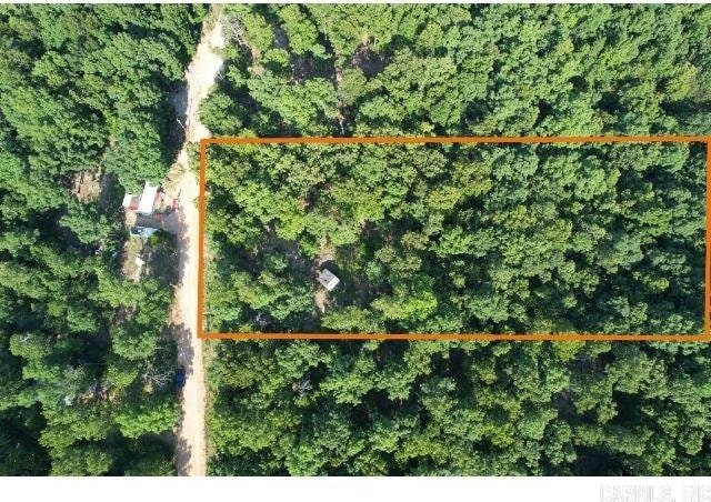 61 Barnes Rd, Evening Shade, AR 72532