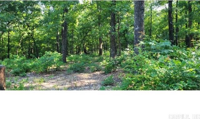 61 Barnes Rd, Evening Shade, AR 72532