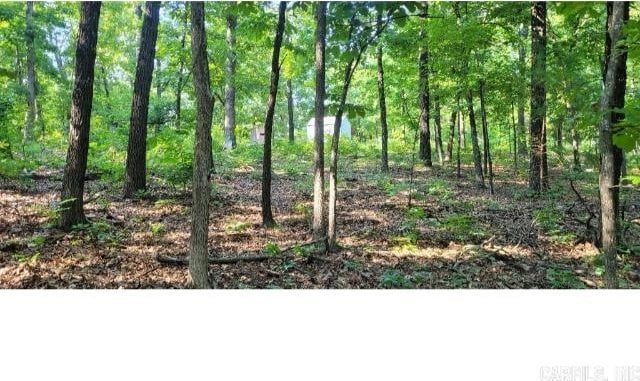 61 Barnes Rd, Evening Shade, AR 72532