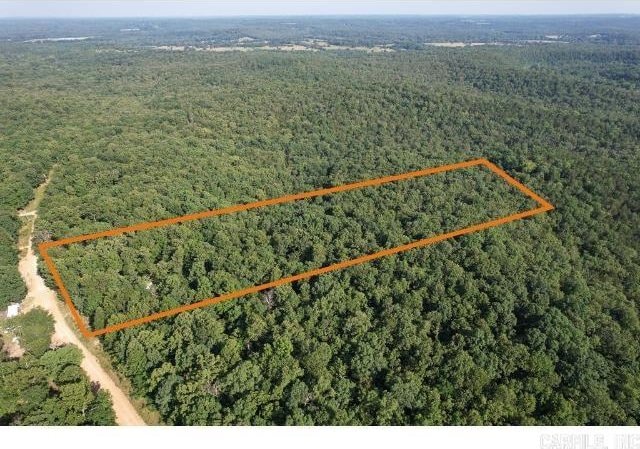 61 Barnes Rd, Evening Shade, AR 72532