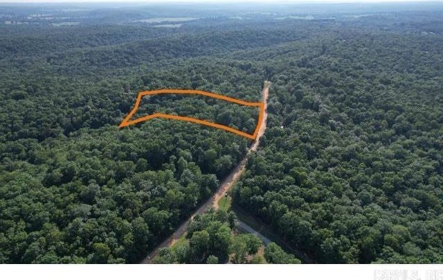 61 Barnes Rd, Evening Shade, AR 72532