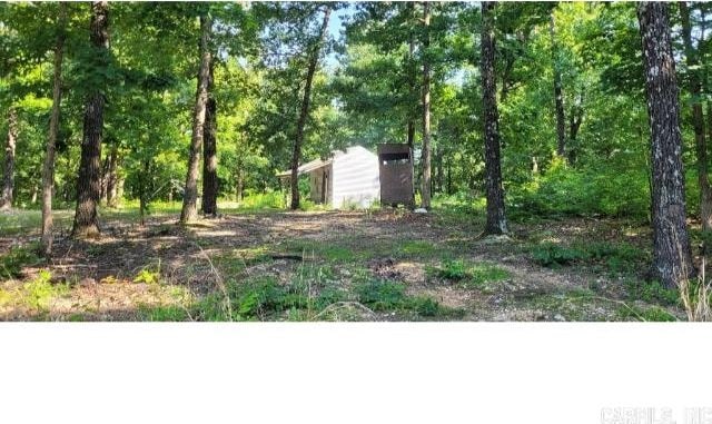61 Barnes Rd, Evening Shade, AR 72532