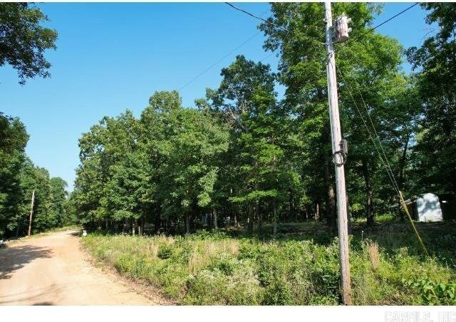 61 Barnes Rd, Evening Shade, AR 72532