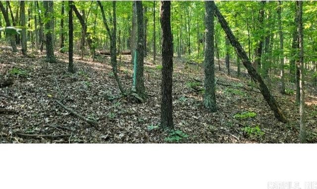 61 Barnes Rd, Evening Shade, AR 72532